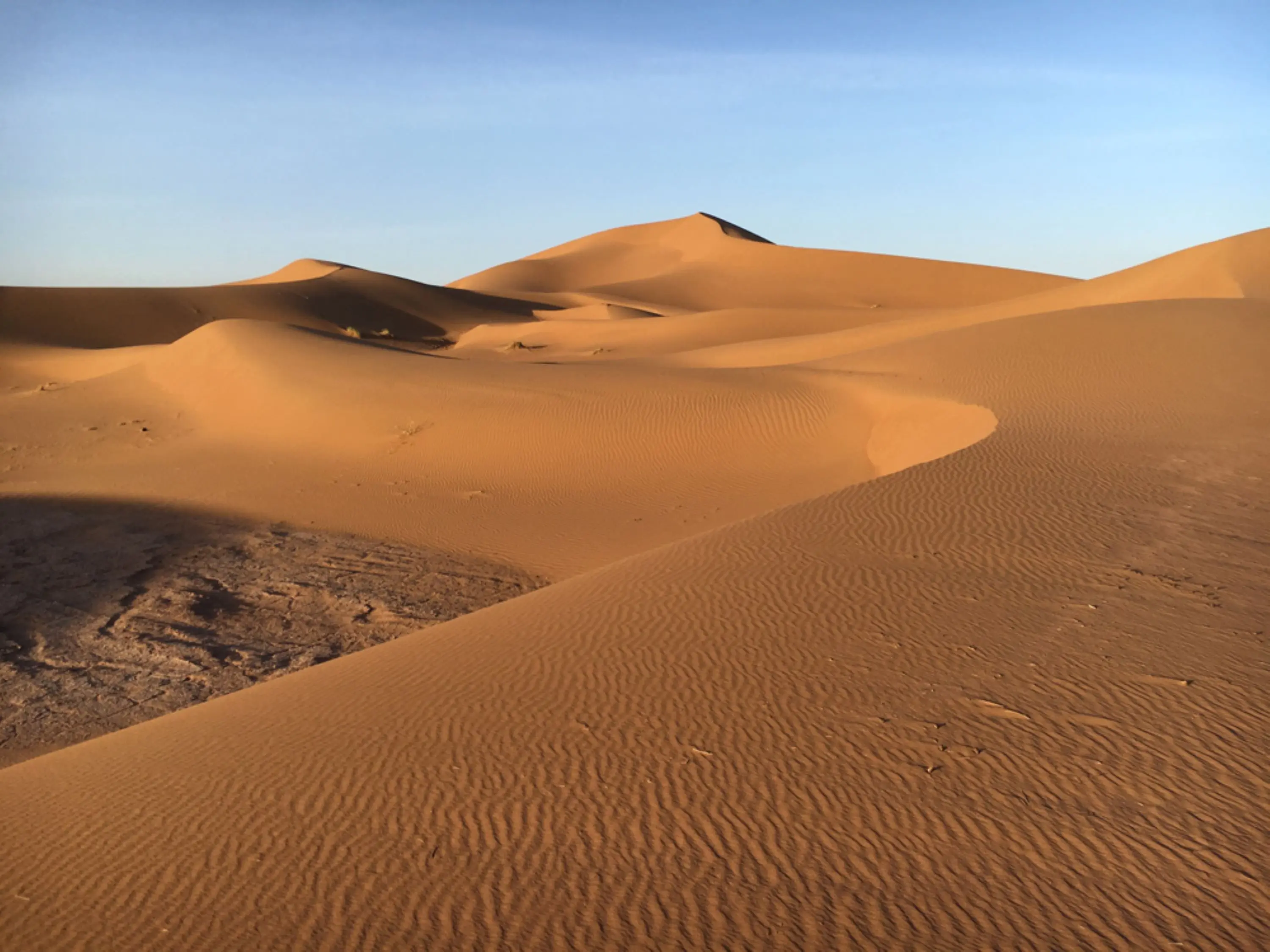 sahara-desert-marocain-avec-agence-ouarzazate-skoura-ait-behaddo